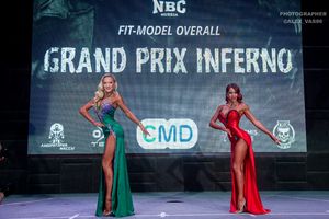 FIT-MODEL OVERALL